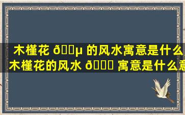 木槿花 🌵 的风水寓意是什么,木槿花的风水 🐎 寓意是什么意思